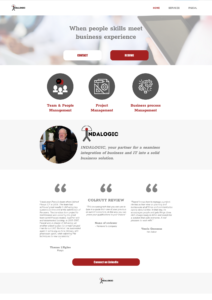 INDALOGIC - Website design